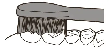 PHILIPS 1000, 2000 Series Sonic Care -surfaces