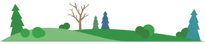 Seasonal Trees Changes