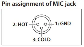BOSS Acoustic Singer Live LT Amplifier -MIC jack