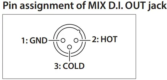 BOSS Acoustic Singer Live LT Amplifier - OUT jack