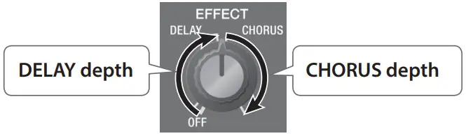 BOSS Acoustic Singer Live LT Amplifier -knob