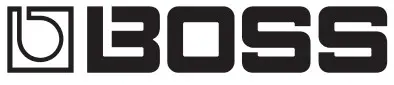 BOSS LOGO