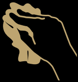 PHILIPS LM8014 Capsule Coffee Machine - ICON 5