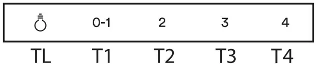 ILVE X370 37cm Island Rangehood - OPERATION