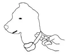 wifi power pet door fig12