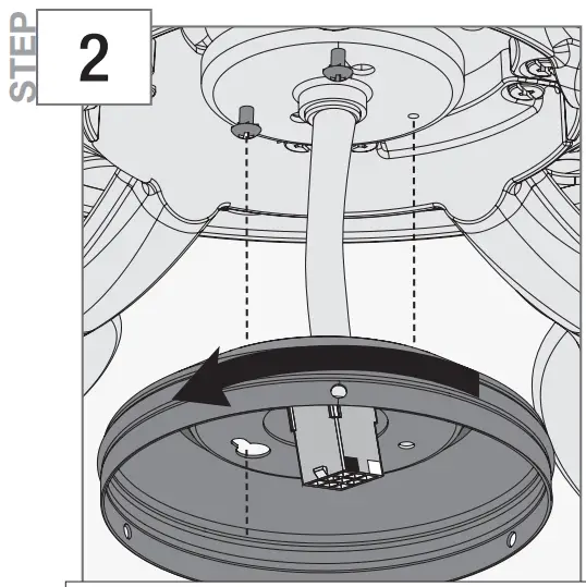 Assembling the Light