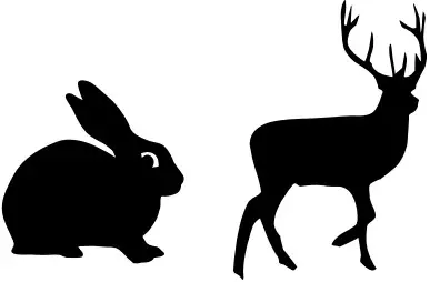 Proven Selections 2.5 qt. Perennial Grass Deschampsia Northern Lights 2-Pack - figure 2