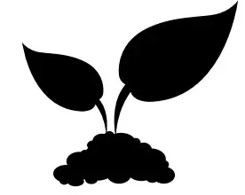 Proven Selections 2.5 qt. Perennial Grass Deschampsia Northern Lights 2-Pack - figure 6