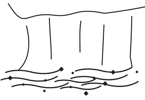 Membrane Solutions M01005 Water Filter Bottle - fig 1