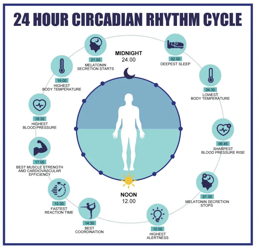 Spooky2 TR 90 Sleep Shades - fig 1