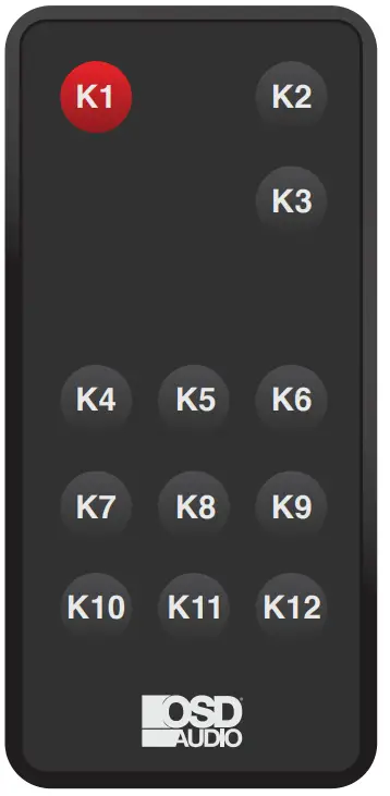 OSD AUDIO XPA500 Commercial Digital Amplifier Remote