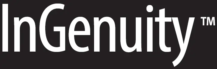 Ingenuity 60194 Portable Swing logo