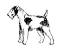 Wahl Lithium Ion Deluxe Pro Series Rechargeable Pet Clipper Grooming Kit (10)