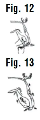 Wahl Lithium Ion Deluxe Pro Series Rechargeable Pet Clipper Grooming Kit (6)