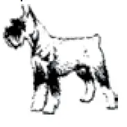 Wahl Lithium Ion Deluxe Pro Series Rechargeable Pet Clipper Grooming Kit (9)