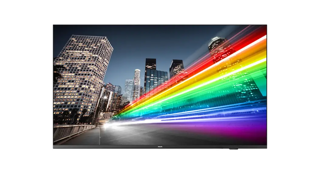 Philips 65bfl2214 Professional Tv User Manual