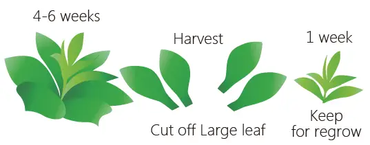 OPCOM-Grow-Wall-3-Vertical-Hydroponic-Unit-fig- (6)