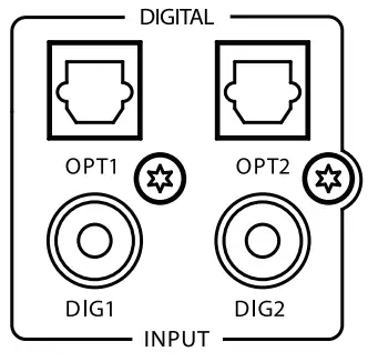 Coaxial digital Inputs