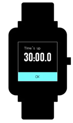 AMAZFIT W1821US1N Bip Lite Smartwatch User Manual - Timer
