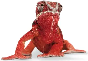 ELATEC TWN4 MultiTech 3 M BLE RFID Reader - ELATEC