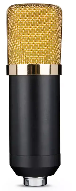 Shen Zhen-You-Xian-Gong-Si-Megachic-Wireless-Microphone