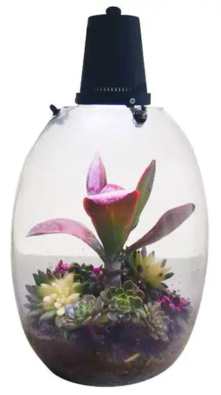 OPCOM-Farm-OFG010-Refreshing-MicroGreen-Landscape-image