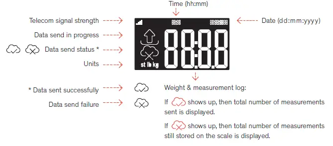 Medisante-BC800-3G-Body-Weight-Scale-fig-3