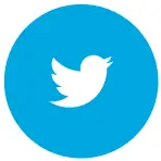 Twitter blue