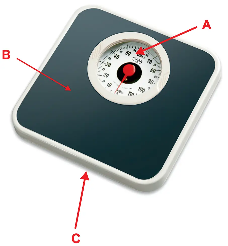 Description of the Device