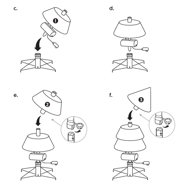 Evergreen-Color-Blast-Tunes-Tree-2