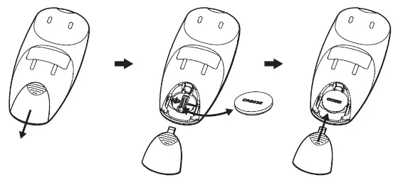 Evergreen-Color-Blast-Tunes-Tree-8