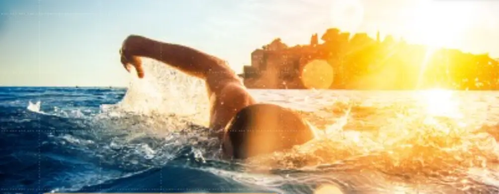 Halcon 21.11 Progress User Guide Halcon 21.11 Progress User Guide