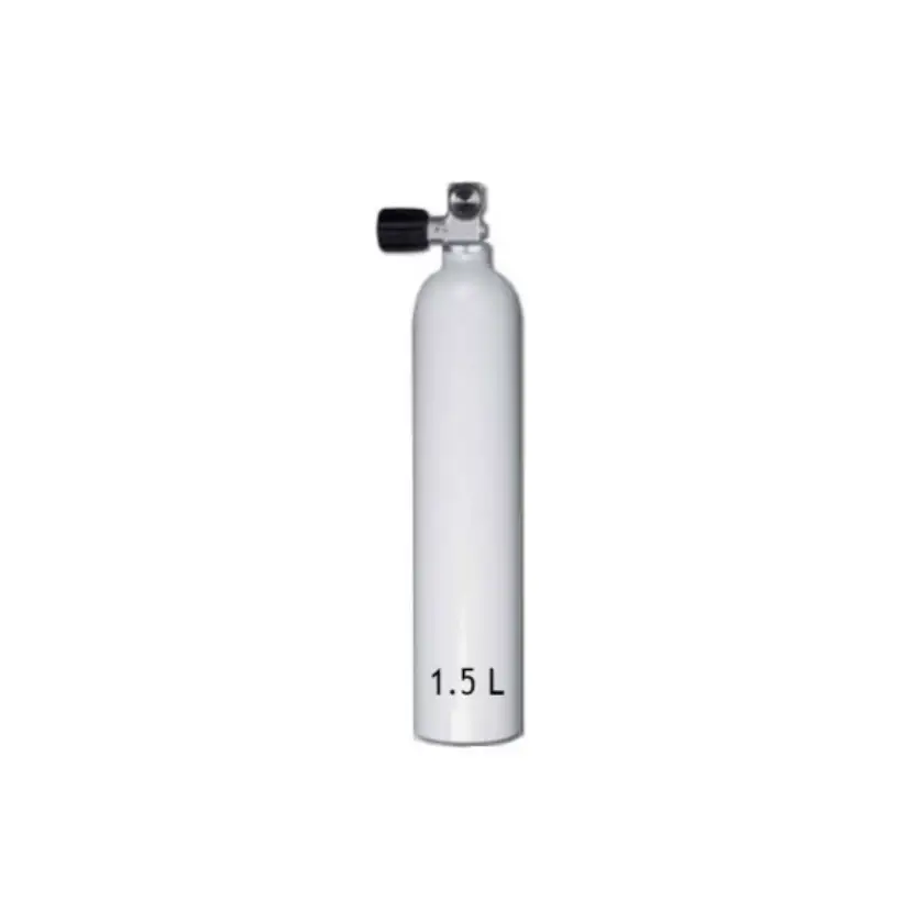 Bts Europa Ag Tkbo0201s16116501bts Bottle And Valve User Manual Bts Europa Ag Tkbo0201s16116501bts Bottle And Valve User Manual