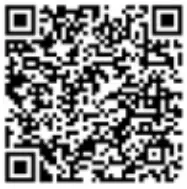 LANG-STEREOPAD 501 STAR 1000 Magnetic Test Card - qr2