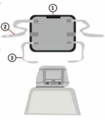 anko-43-221-479 9 Inch-Dual-Screen-Portable-DVD-Player-FIG- (5)