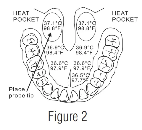 ADC 415FL Digital Fever Thermometer - fig 2