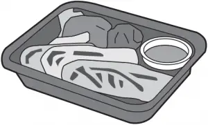 Disposable Polyester Paperboard Dishes