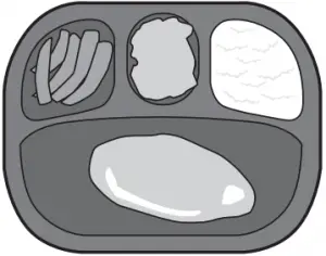 Frozen Dinner Trays