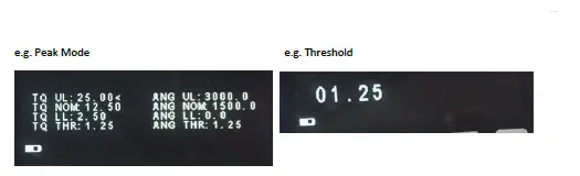 Crane TorqueStar Lite Data Collector FIG 21