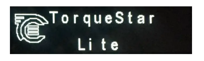 Crane TorqueStar Lite Data Collector FIG 5