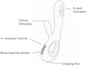 KNOW YOUR SORAYA WAVE