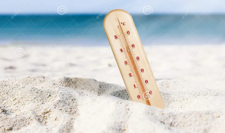 Ewetime TX19 INOUT Wireless Thermometer