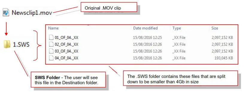 GV K Manager Pro Application Software - Naming the Incoming 5