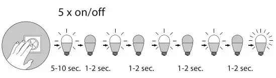 Paul-Neuhaus-832276-Ceiling-Light-Q-Frameles-FIG5