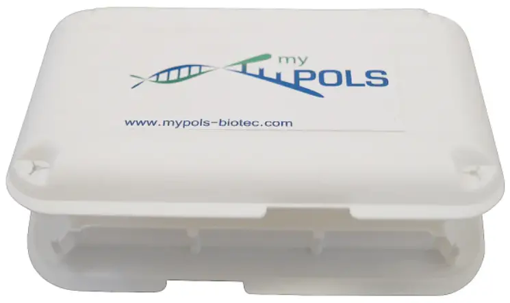 Paul Neuhaus 835629 Carlo Outdoor Wall Light