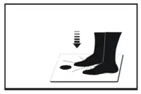 eta 1779 Bamboo Fit Digital Body Analysis Scale - fig3