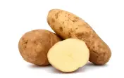 Potato