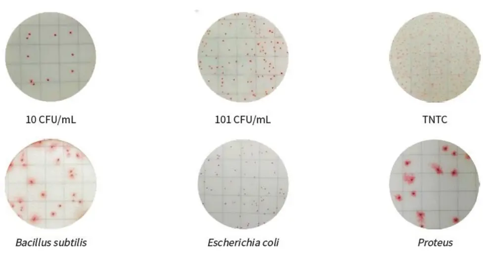 Scigiene MF1001 MicroFast Aerobic Count Plate fig 1