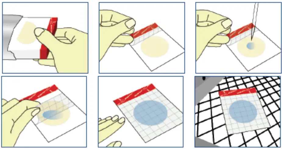 Scigiene MF1001 MicroFast Aerobic Count Plate fig 2