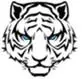 TIGER TECH logo